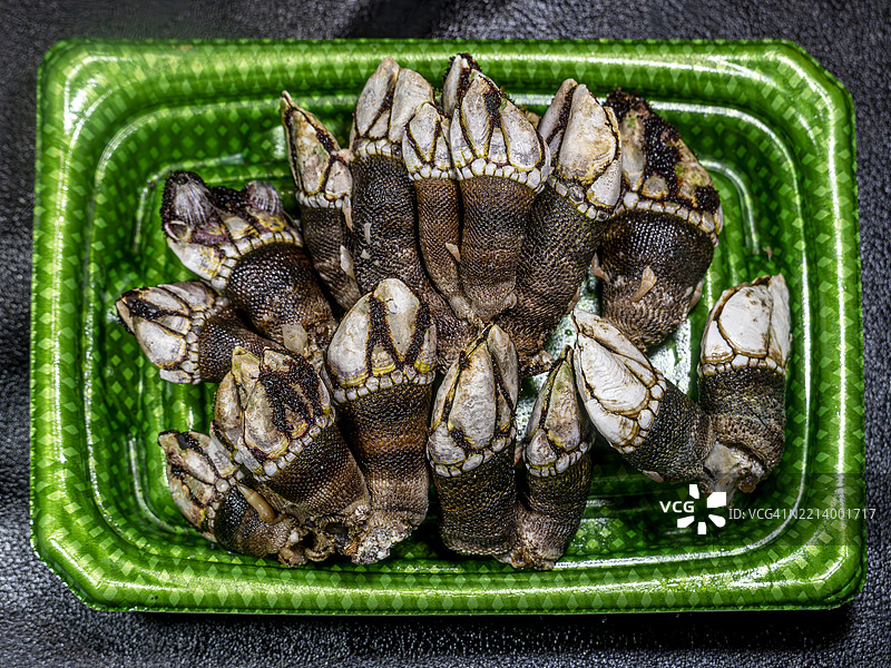 京都的日本鹅颈藤壶（亀手，石蟹）图片素材