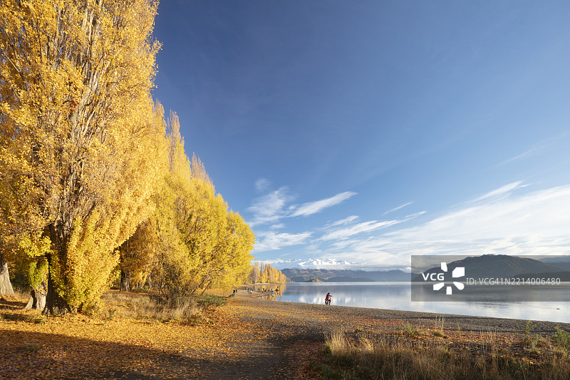 秋天日出时的瓦纳卡湖和阿斯普林山图片素材