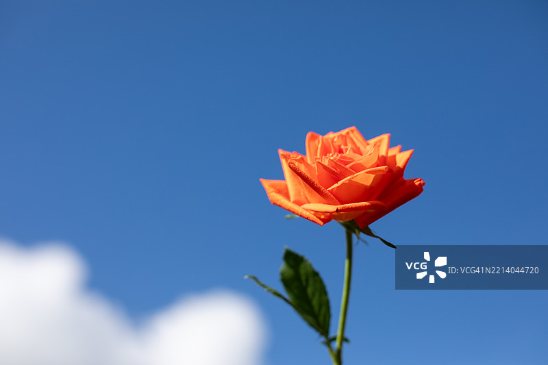 英格兰户外自然风光图片图片素材