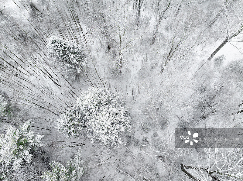 雾中雪山的美丽景色图片素材