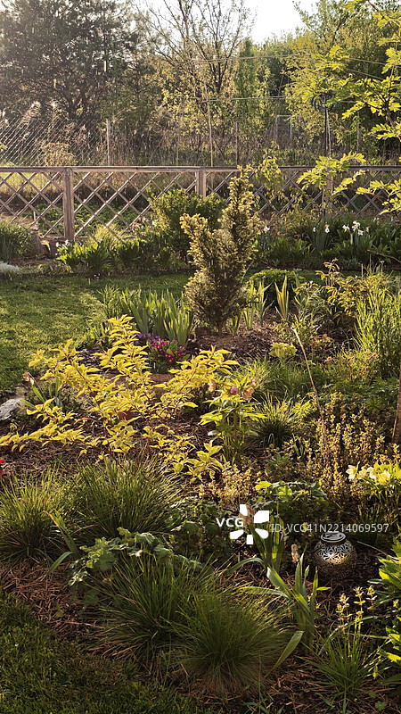 春季日落照亮的装饰花园图片素材