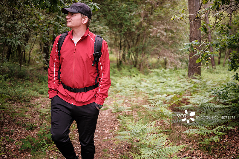 在郁郁葱葱的森林小径上行走的徒步旅行者图片素材