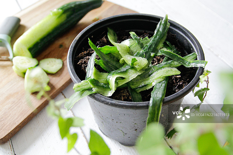 自制堆肥图片素材