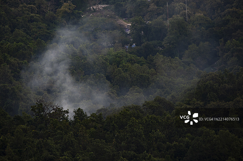 雾气弥漫的森林与留白空间图片素材