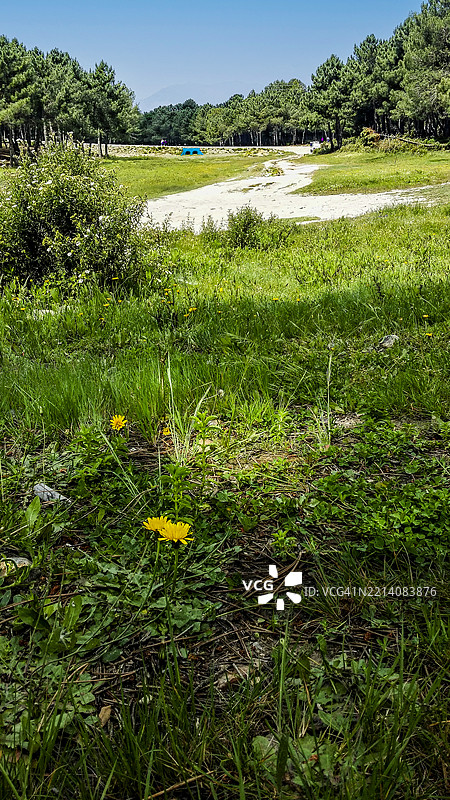 查温的天空下田野的美丽景色图片素材