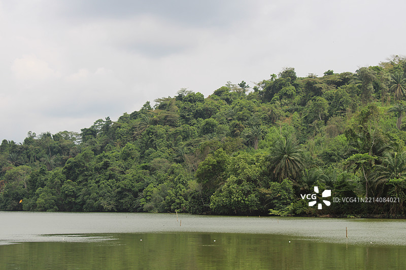 湖边树木与天空的美丽景色图片素材