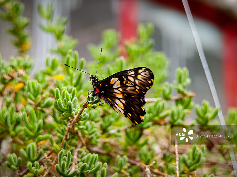 有人走进寂静，抛弃了我 现在孤独并不孤单 你说话的方式像夜晚图片素材