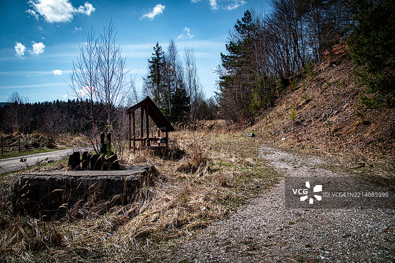 田野上树木和植物与天空相映成趣图片素材