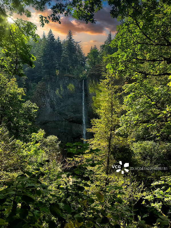美国森林中的瀑布风景图片素材