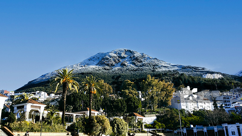 查温的蓝天上树木与建筑物相映成趣图片素材