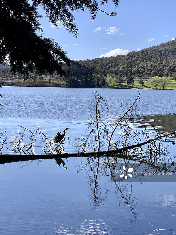 堪培拉，澳大利亚首都地区的湿地风景图片素材