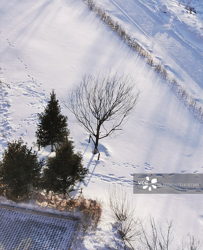 冬季冰冻湖泊的高角度视图图片素材