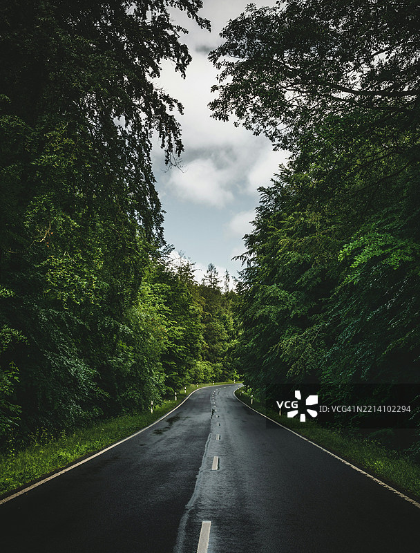 树木间的空旷道路图片素材