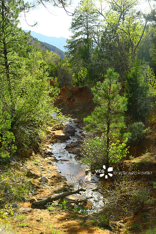 锡安国家公园的流动河流图片素材