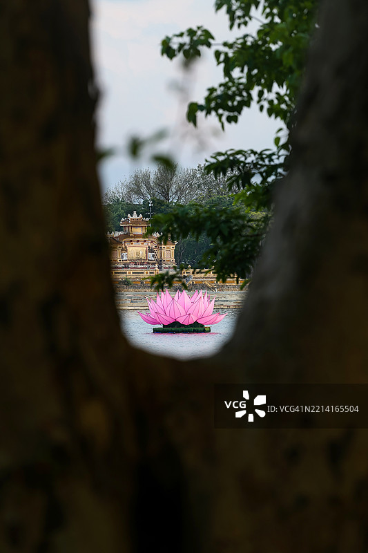 维萨克节装饰，河上有巨大的丝绸莲花图片素材