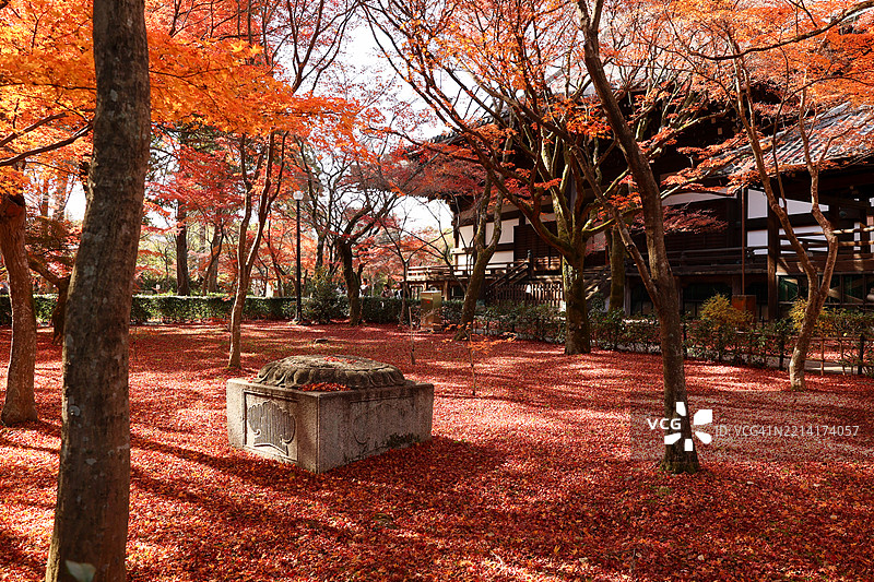 京都真如堂寺的秋季 foliage图片素材