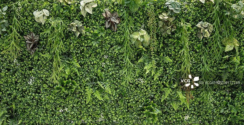 建筑外墙上的人造植物叶塑料面板图片素材