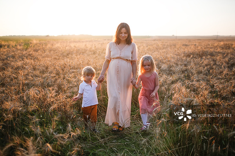 快乐而真实的时刻：一位怀孕的妈妈与两个孩子在盛开的夏季田野中散步。图片素材