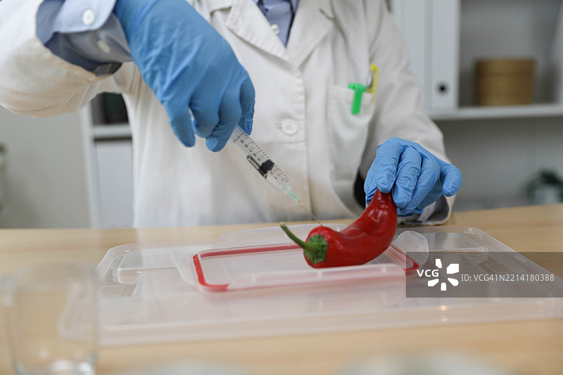 老年女性在实验室用注射器给辣椒注射 - 转基因概念图片素材