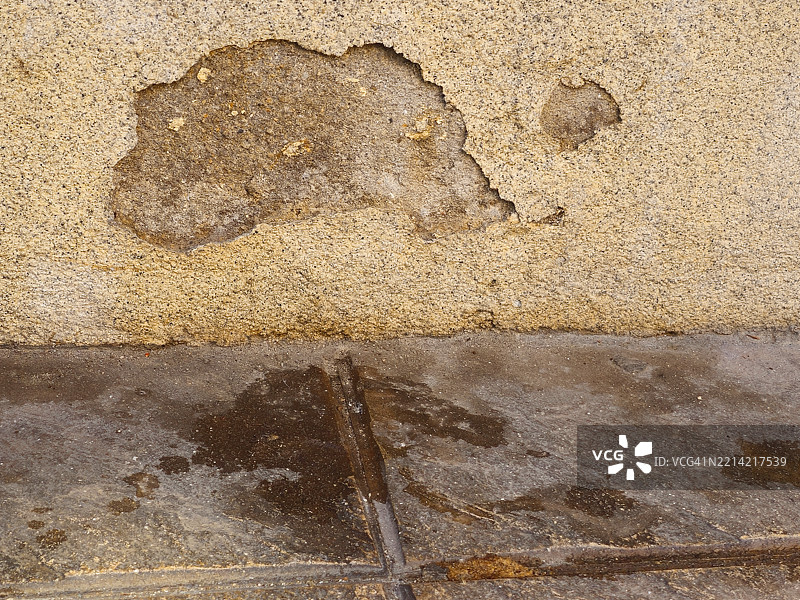 狗尿造成的损害。图片素材