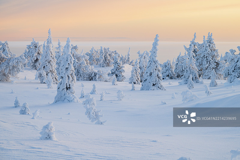 冬季风景，瑞西图尔图国家公园，波西奥，拉普兰，芬兰，欧洲图片素材