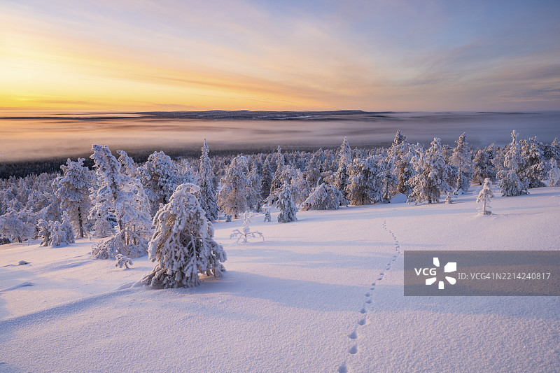 冬季风景，瑞西屯图里国家公园，波西奥，拉普兰，芬兰，欧洲图片素材