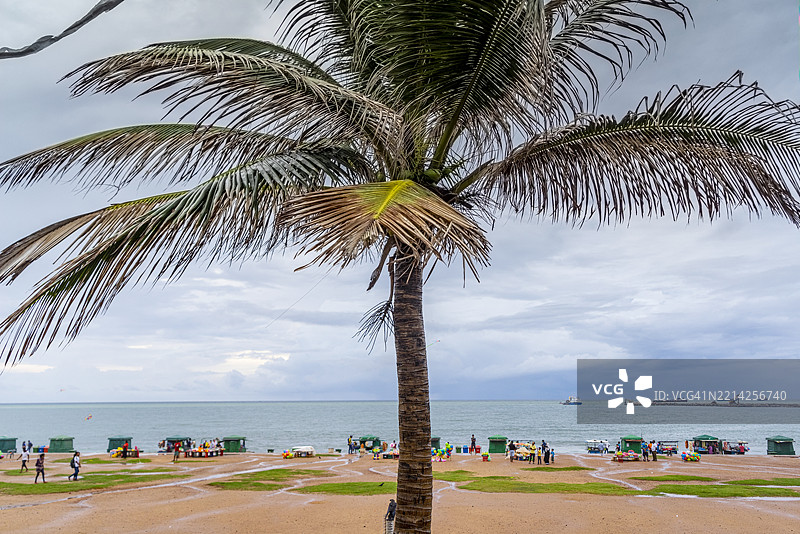 斯里兰卡科伦坡，海滨绿地的景观图片素材