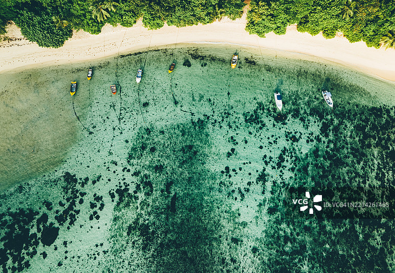 阳光明媚的海滩鸟瞰图，棕榈树和碧蓝的海洋。夏季假期和热带海滩概念。图片素材