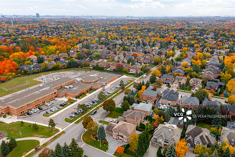 加拿大伍德布里奇的博伊德公园和伊斯灵顿大道的多彩树叶图片素材