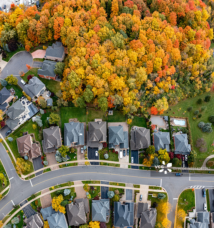 加拿大伍德布里奇的博伊德公园和伊斯灵顿大道的多彩树叶图片素材