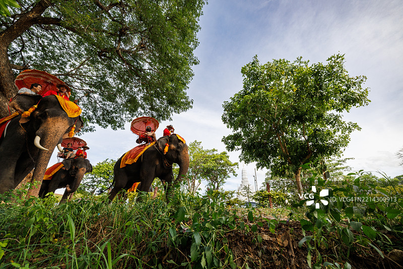 大象骑乘，阿育他亚，泰国。图片素材