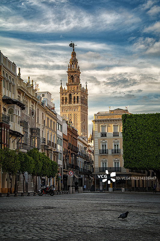 塞维利亚鸽子图片素材