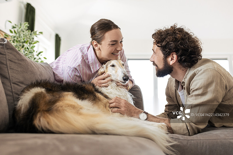 情侣在沙发上与狗狗依偎在一起图片素材