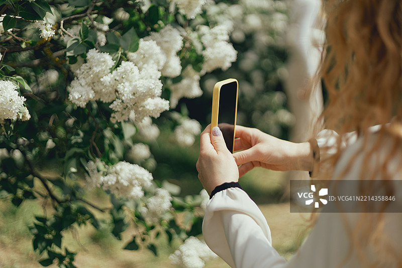 年轻女性在阳光明媚的花园里用智能手机拍摄白色丁香花。图片素材