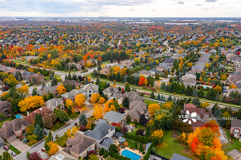 加拿大伍德布里奇的博伊德公园和伊斯灵顿大道的多彩树叶图片素材