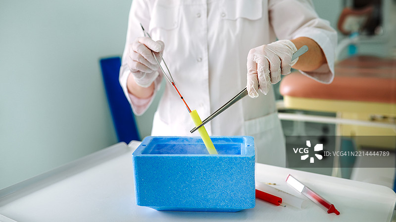 穿着白色实验室外套和手套的医疗专家在进行ECO治疗时，使用精密工具进行细致的操作。图片素材