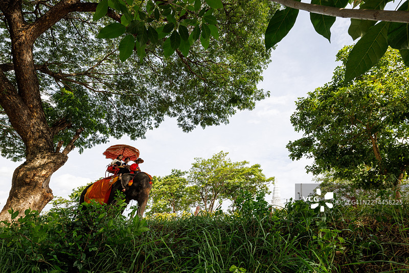 大象骑乘，阿育他耶，泰国。图片素材