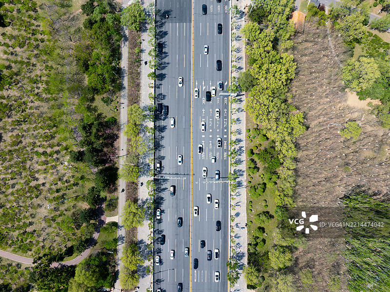 树间的小路图片素材