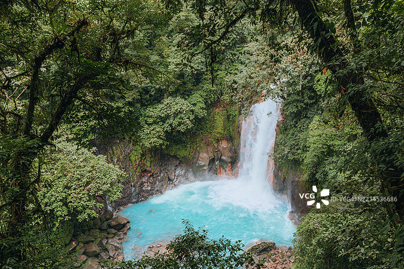 瀑布倾泻入生机勃勃的碧绿色水池，郁郁葱葱的雨林。图片素材
