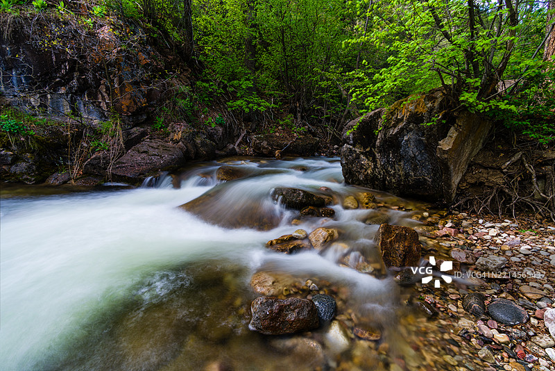 春季山间溪水流淌的峡谷风景图片素材