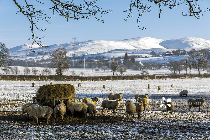北威尔士的雪覆盖风景图片素材