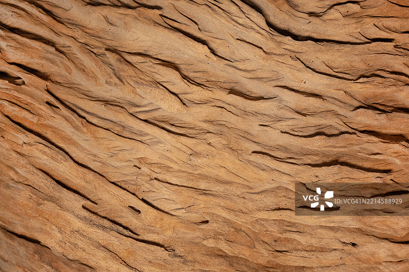 化石木材纹理特写抽象背景图片素材