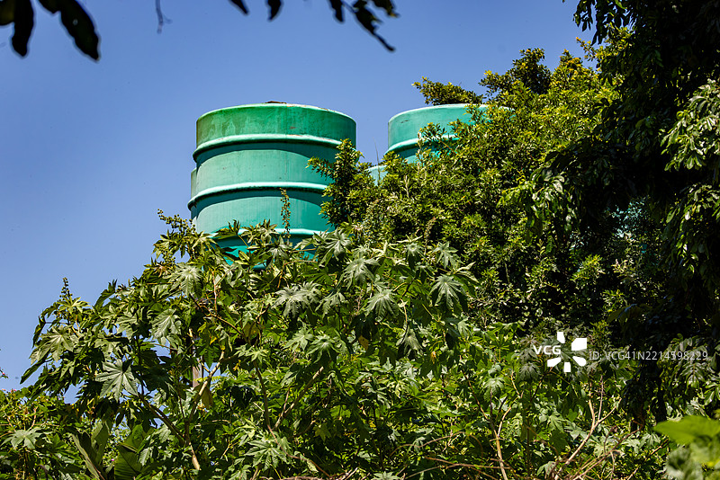 南非热带花园中的水储存罐图片素材