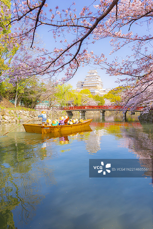 春天在日本兵库县姬路城的粉色樱花树下游览的观光船图片素材