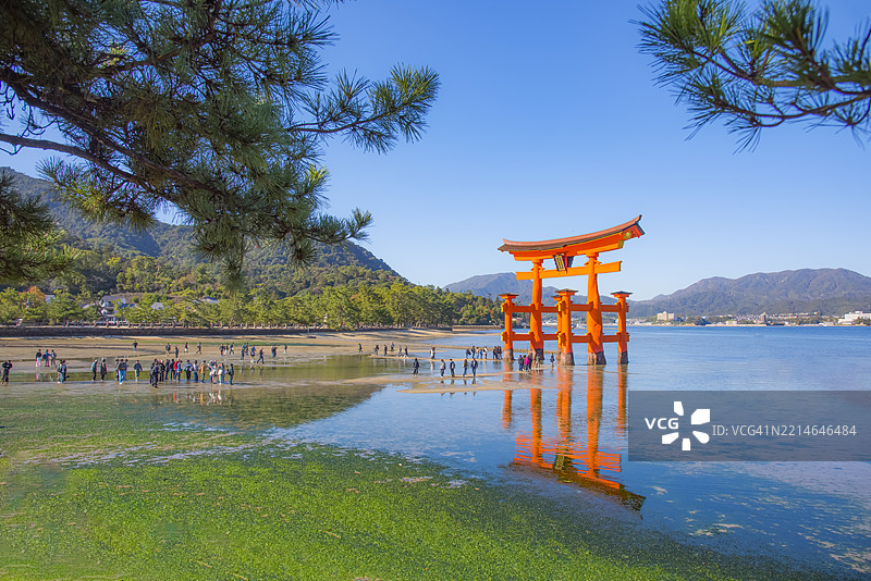 日本广岛宫岛严岛神社的伟大鸟居的风景视图图片素材