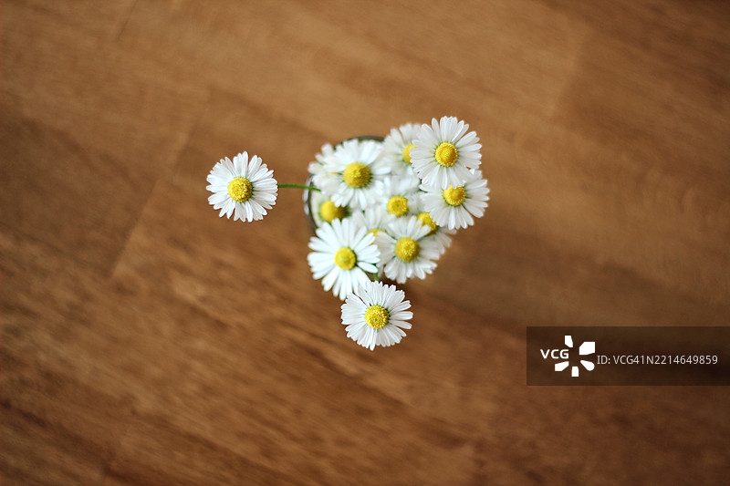 桌子上玻璃花瓶里的雏菊俯视图图片素材