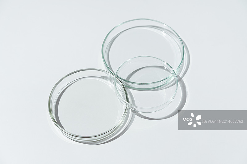 白色背景上的空白培养皿图片素材