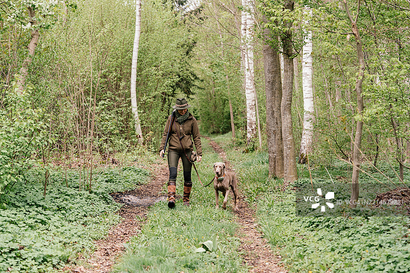 春天，女猎人与她的狗在森林中散步。图片素材