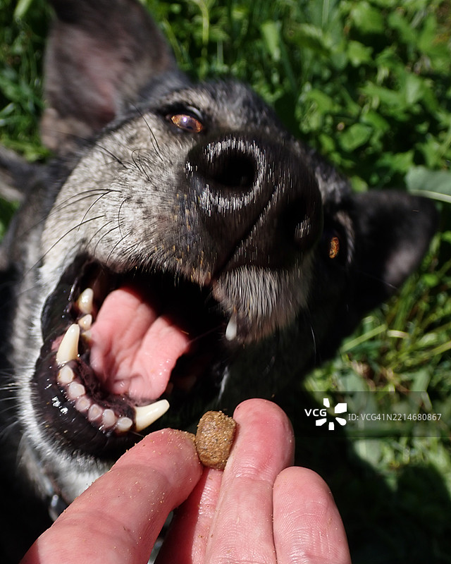 明白了...！图片素材