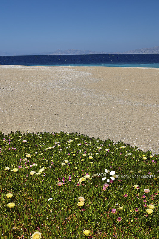 罗德岛北端，海滩上的花卉区域，海景与蓝天，罗德镇港口区域，罗德岛，东南爱琴海，希腊，欧洲图片素材